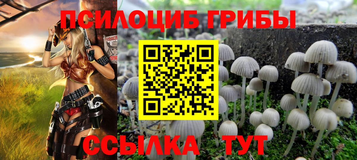 Псилоцибиновые грибы Magic Shrooms  Галлюциногенные грибы мухоморы  Пенза  Вход с VPN 