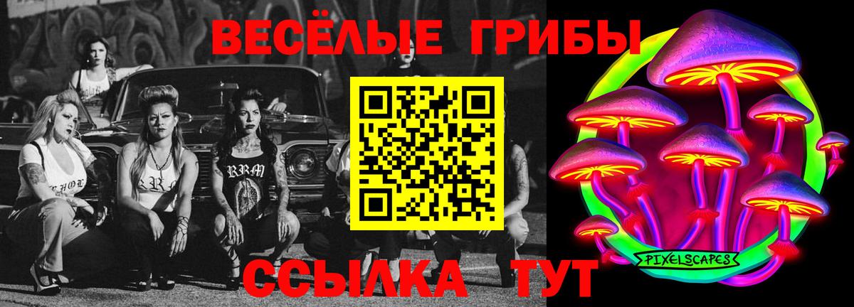 Галлюциногенные грибы Cubensis Пенза